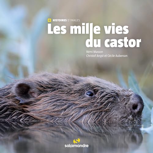 Les milles vies du castor von LA SALAMANDRE