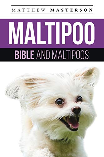 Maltipoo Bible And Maltipoos: Your Perfect Maltipoo Guide Maltipoo, Maltipoos, Maltipoo Puppies, Maltipoo Dogs, Maltipoo Breeders, Maltipoo Care, ... Grooming, Breeding, History and More! von Dym Worldwide Publishers