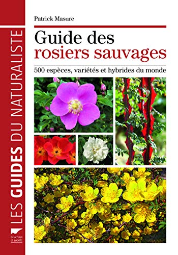 Guide des rosiers sauvages: 500 espèces, variétés et hybrides du monde von DELACHAUX et NIESTLE