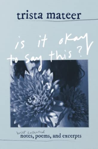 is it okay to say this?: brief collected notes, poems, and excerpts
