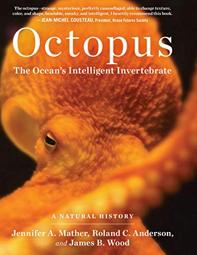 Octopus: The Ocean's Intelligent Invertebrate Octopus: The Ocean's Intelligent Invertebrate von Timber Press
