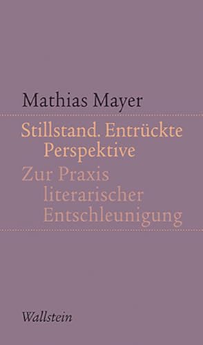 Stillstand. Entrückte Perspektive: Zur Praxis literarischer Entschleunigung (Kleine Schriften zur literarischen Ästhetik und Hermeneutik) von Wallstein