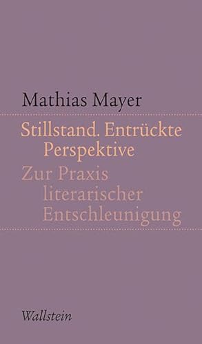 Stillstand. Entrückte Perspektive: Zur Praxis literarischer Entschleunigung (Kleine Schriften zur literarischen Ästhetik und Hermeneutik)