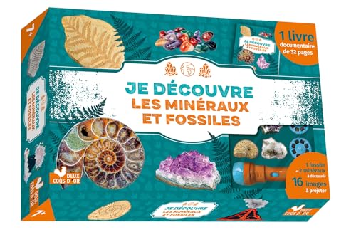 Je découvre les minéraux et fossiles - coffret avec lampe et kit excavation: Avec 1 livre documentaire, 1 fossile et 2 minéraux à découvrir, et 16 images à projeter Je découvre les minéraux et fossiles - coffret avec lampe et kit excavation: Avec 1 livre documentaire, 1 fossile et 2 minéraux à découvrir, et 16 images à projeter von DEUX COQS D OR