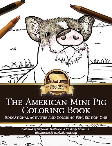 American Mini Pig Coloring Book von CREATESPACE