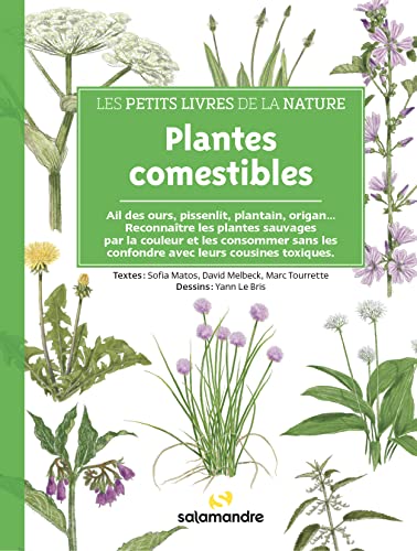Les petits livres de la nature - Plantes comestibles Les petits livres de la nature - Plantes comestibles von LA SALAMANDRE