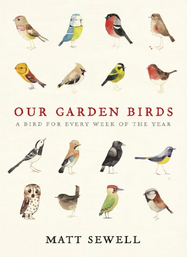 Our Garden Birds: a stunning illustrated guide to the birdlife of the British Isles