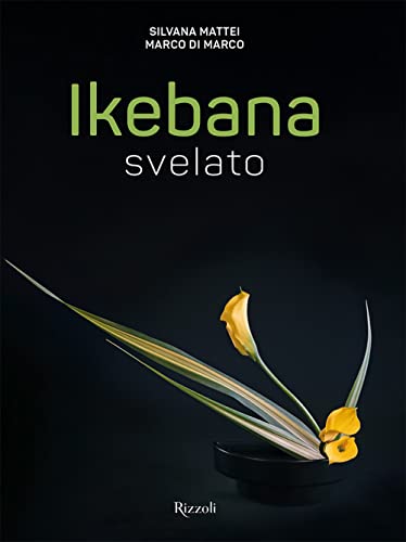 Ikebana svelato. Ediz. a colori (Rizzoli Illustrati) von Mondadori Electa