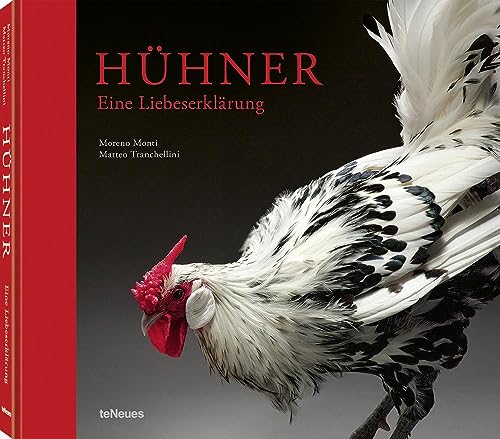 Hühner: Eine Liebeserklärung