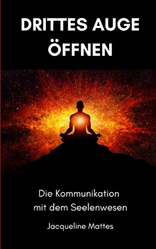 Drittes Auge öffnen: Die Kommunikation mit dem Seelenwesen von Independently published