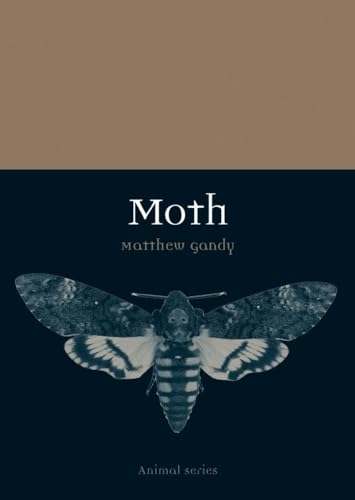 Moth (Animal) von Reaktion Books