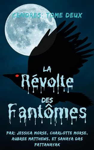 Cendres Tome 2: La Révolte des Fantômes von Books on Demand