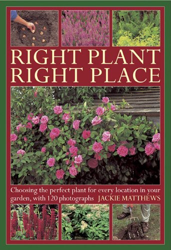 Right Plant Right Place: Choosing the Perfect Plant for Every Location in Your Garden, With 120 Photographs von Lorenz Books