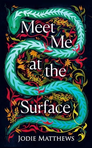 Meet Me at the Surface: A haunting literary debut von Fourth Estate
