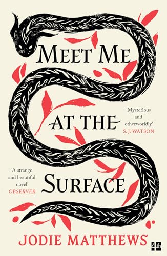 Meet Me at the Surface: A haunting and literary debut novel inspired by Cornish folklore; ‘Strange and beautiful’ Observer