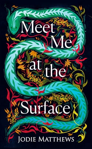 Meet Me at the Surface: A haunting literary debut