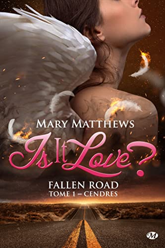 Is it love ? Fallen road, T1 : Cendres von MILADY