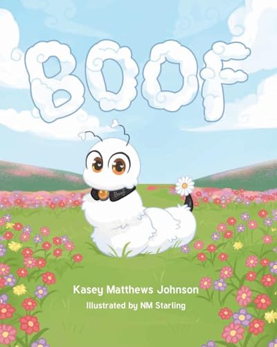 BOOF von Fulton Books