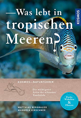 Was lebt in tropischen Meeren? Was lebt in tropischen Meeren?