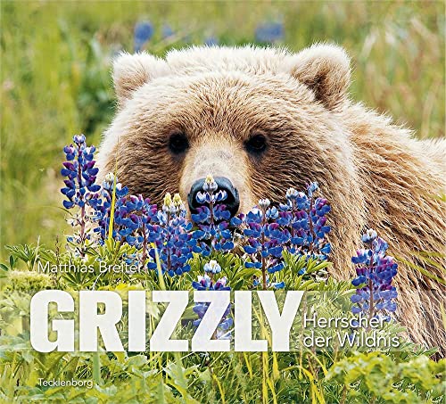 Grizzly: Herrscher der Wildnis von Tecklenborg