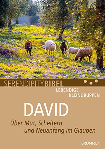 David: Über Mut, Scheitern und Neuanfang im Glauben von Brunnen-Verlag GmbH