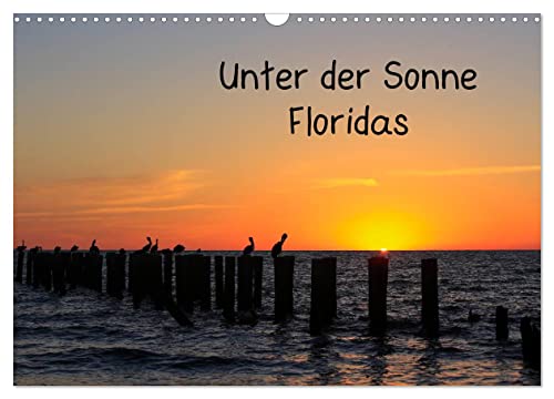 Unter der Sonne Floridas (Wandkalender 2024 DIN A3 quer), CALVENDO Monatskalender von CALVENDO