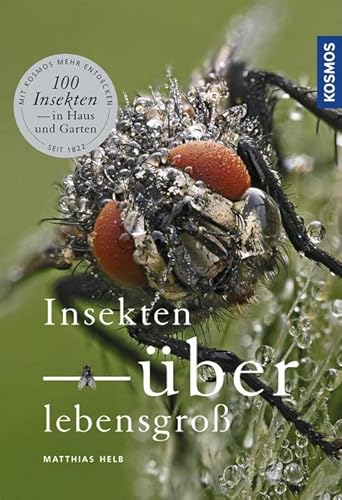 Insekten überlebensgroß