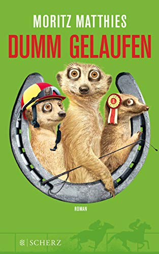 Dumm gelaufen: Roman Dumm gelaufen: Roman