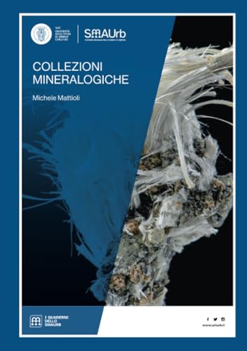 Collezioni mineralogiche (I Quaderni dello SMAUrb, Band 1) von Urbino University Press