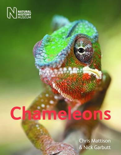 Chameleons von The Natural History Museum