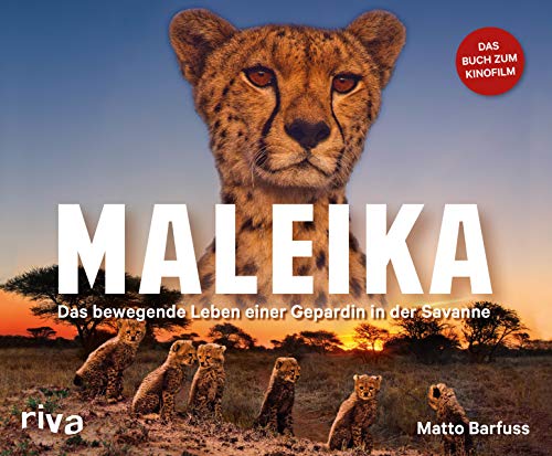 Maleika: Das bewegende Leben einer Gepardin in der Savanne Maleika: Das bewegende Leben einer Gepardin in der Savanne von RIVA
