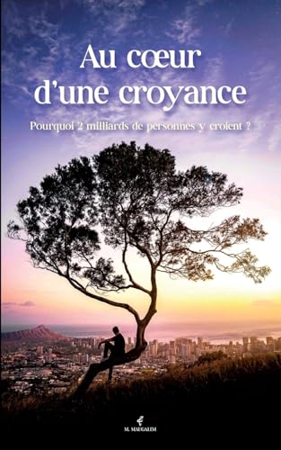 Au coeur d'une croyance von Books on Demand