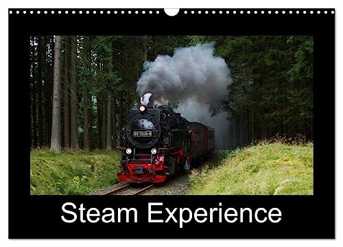 Steam Experience (Wall Calendar 2025 DIN A3 landscape), CALVENDO 12 Month Wall Calendar: Steam locomotives in the heart of Germany