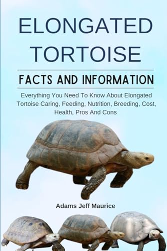 ELONGATED TORTOISE: Everything You Need To Know About Elongated Tortoise Caring, Feeding, Nutrition, Breeding, Cost, Health, Pros And Cons