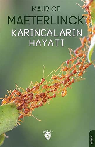 Karıncaların Hayatı von Dorlion Yayınları