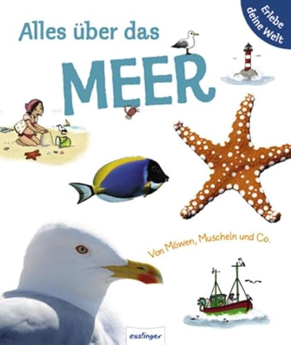 Alles über das Meer. Von Möwen, Muscheln & Co: Von Möwen, Muscheln und Co. (Erlebe deine Welt)