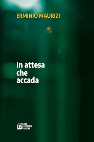 In attesa che accada (Fuori collana) von Pellegrini