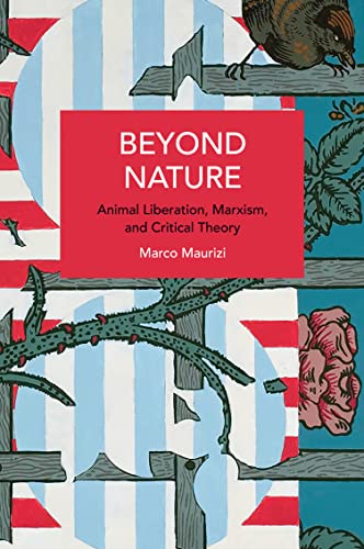 Beyond Nature: Animal Liberation, Marxism, and Critical Theory (Historical Materialism) von Haymarket Books