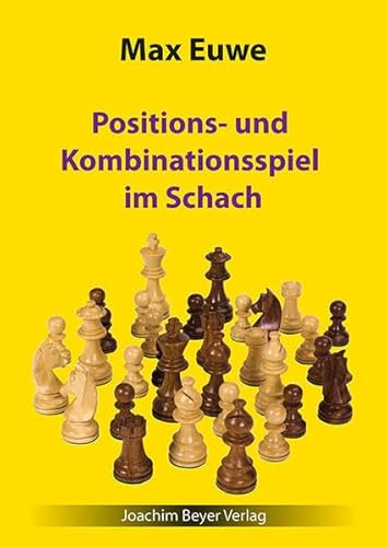 Positions- und Kombinationsspiel im Schach