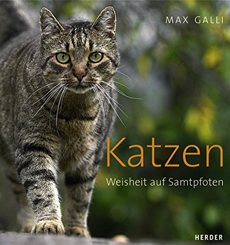 Katzen: Weisheit auf Samtpfoten... von Verlag Herder