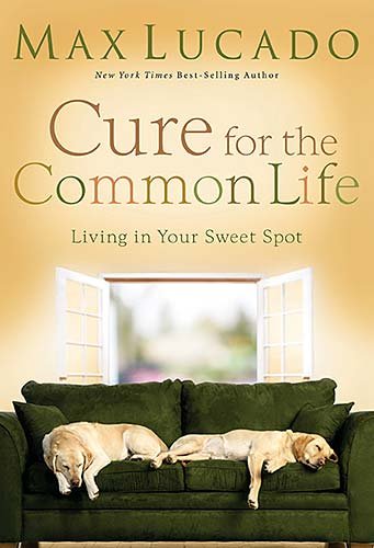 Cure for the Common Life: Living in Your Sweet Spot Cure for the Common Life: Living in Your Sweet Spot von Nelson/Word Pub Group
