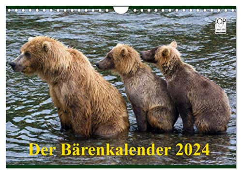 Der Bärenkalender 2024 (Wandkalender 2024 DIN A4 quer), CALVENDO Monatskalender von CALVENDO