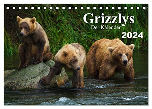 Grizzlys - Der Kalender CH-Version (Tischkalender 2024 DIN A5 quer), CALVENDO Monatskalender von CALVENDO