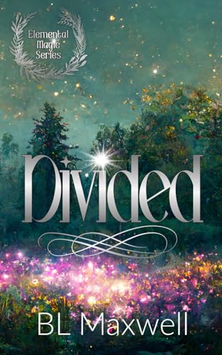 Divided von Independently published