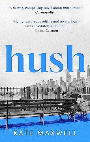 Hush: The heartbreaking and life-affirming debut novel which tells the truth about motherhood von Virago