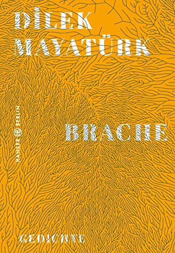 Brache: Gedichte von Hanser Berlin