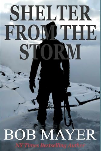 Shelter From The Storm: The Green Berets. Will Kane #6 (Will Kane Book, Band 6) von Cool Gus
