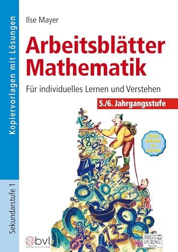 Arbeitsblätter Mathematik 5./6. Klasse: Für individuelles Lernen und Verstehen von Brigg Verlag KG