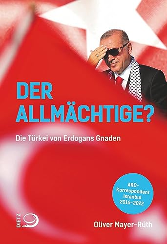 Der Allmächtige?: Die Türkei von Erdogans Gnaden