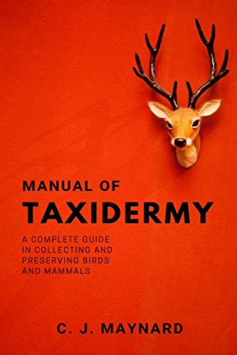 Manual of Taxidermy: A complete guide in collecting and preserving birds and mammals von Independently published